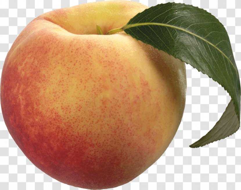Clip Art Peach Transparency Fruit - Local Food - Crimson Chin Baby Transparent PNG