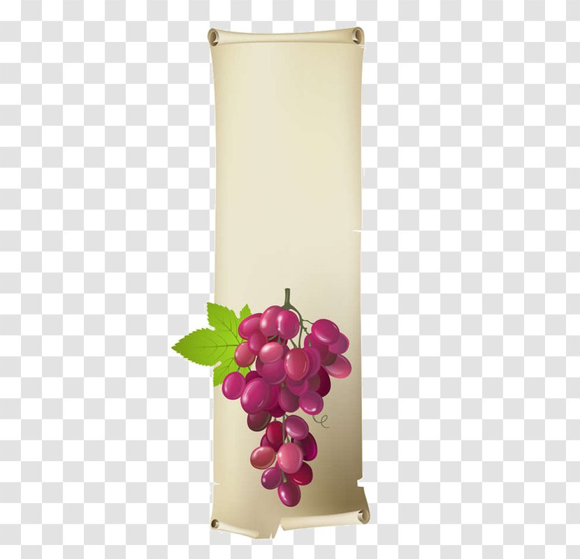 Vector Graphics Royalty-free Image Grape Illustration - Stock Photography Transparent PNG
