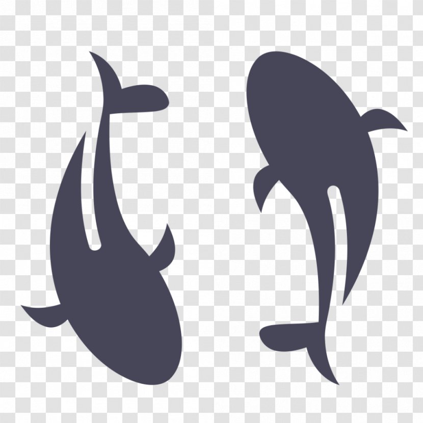 Pond Cartoon - Aquarium - Whale Tail Transparent PNG