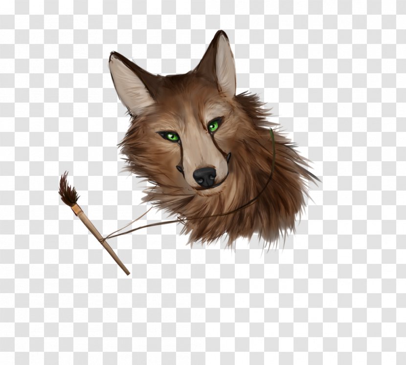 Dog Fur Snout Fox News - Carnivore Transparent PNG