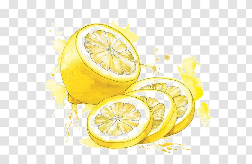 Watercolor Painting Food Drawing Illustration - Yuzu - Lemon Transparent PNG