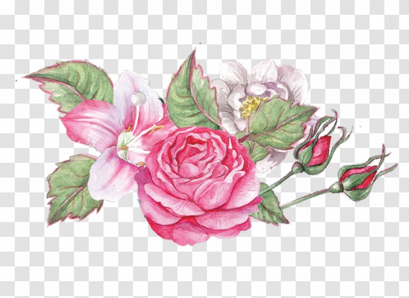 Watercolor Floral Background - Flower Bouquet - Japanese Camellia Artificial Transparent PNG