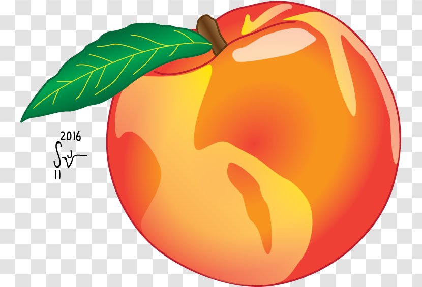 Title Sequence CBS Clip Art - Melissa Benoist - Peach Logo Transparent PNG