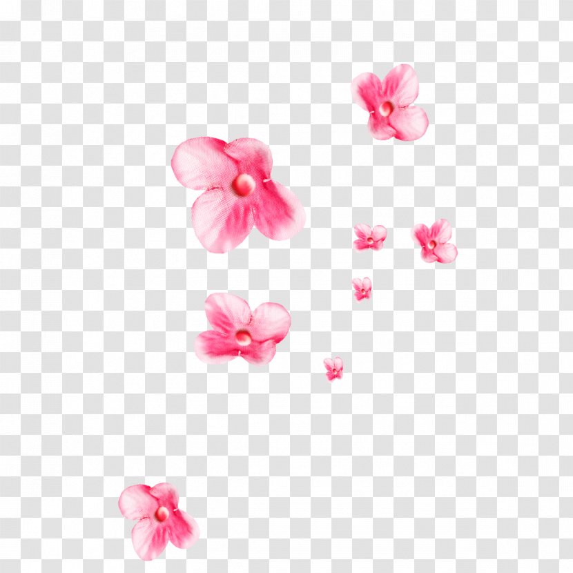 Clip Art - Magenta - Floating Flower Transparent PNG