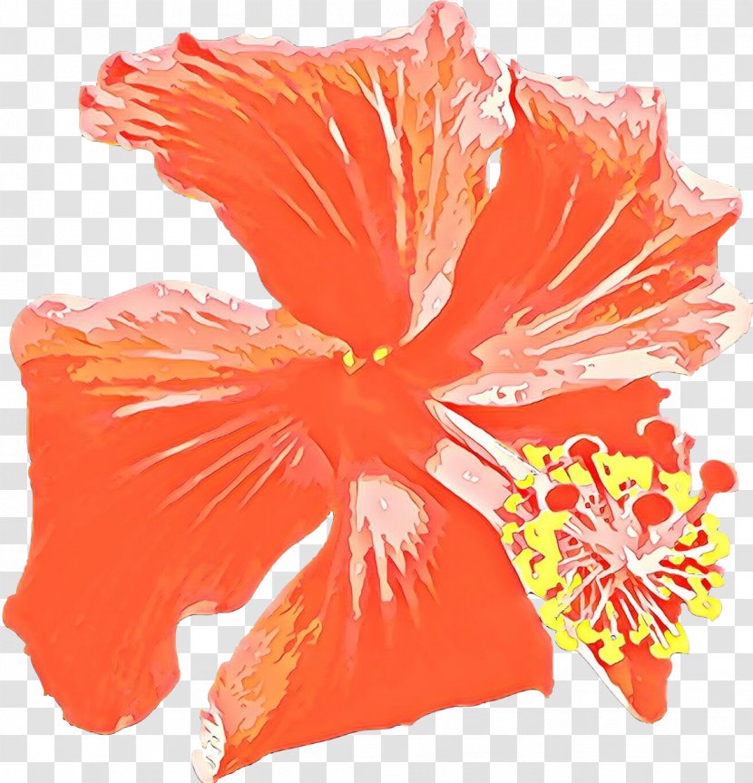 Flowers Background - Orange - Herbaceous Plant Mallow Family Transparent PNG