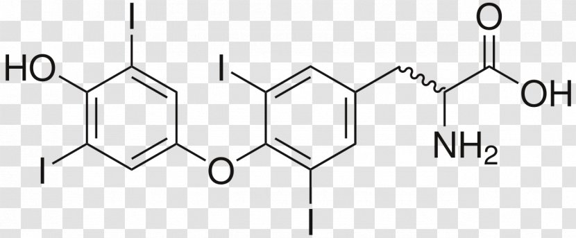 Reverse Triiodothyronine Diethyl Ether Ethyl Group Chemical Compound - Hydroxy - Thyroidstimulating Hormone Transparent PNG