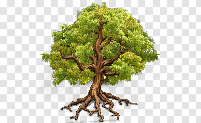 Farmerama Tree Branch Bigpoint Games Wisdom Transparent PNG