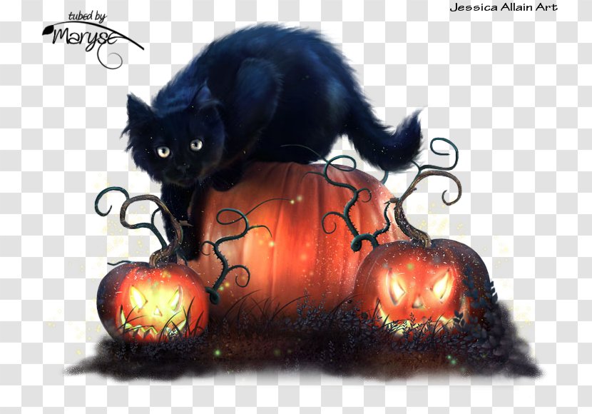 Halloween Kitten Cat Image Trick Or Treachery - Small To Medium Sized Cats - Mr. Transparent PNG
