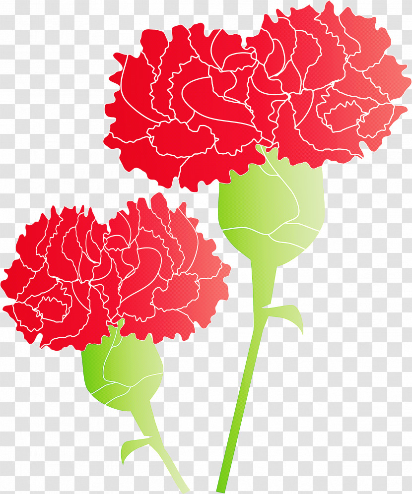 Mothers Day Carnation Mothers Day Flower Transparent PNG