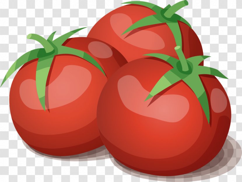 Tomato Juice Vegetarian Cuisine Vegetable - Cooking - Three Tomatoes Transparent PNG