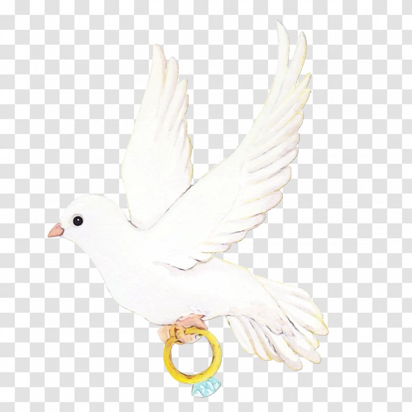 Wedding Invitation Background - Pigeon Post - Animal Figure Peace Symbols Transparent PNG