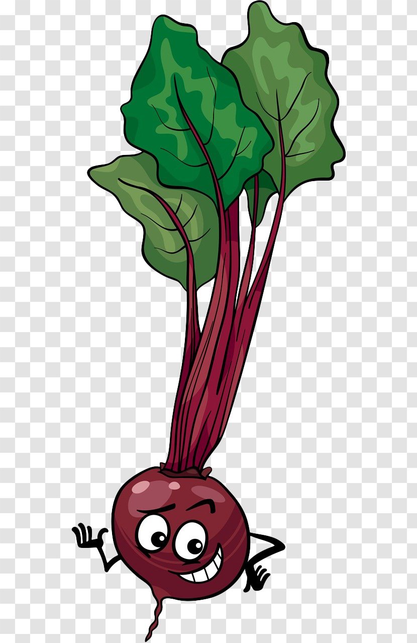 Beetroot Stock Illustration Cartoon - Asparagus - Hand-drawn Beet Transparent PNG