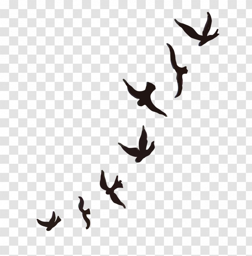 Mountain Bluebird Tattoo Sparrow Cygnini - Animal - Flock Of Birds Transparent PNG