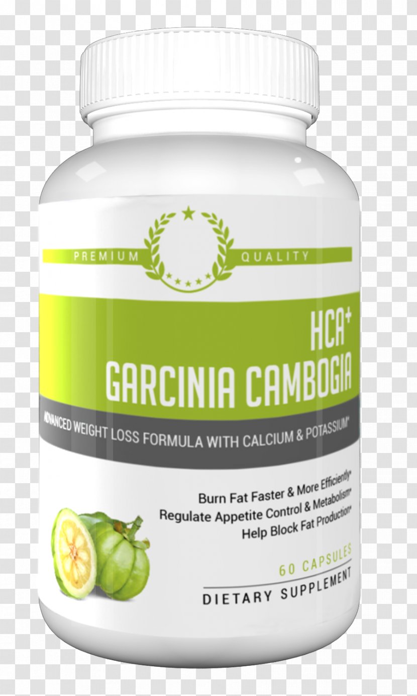 Garcinia Gummi-gutta Dietary Supplement Hydroxycitric Acid Health Weight Loss - Fat Transparent PNG