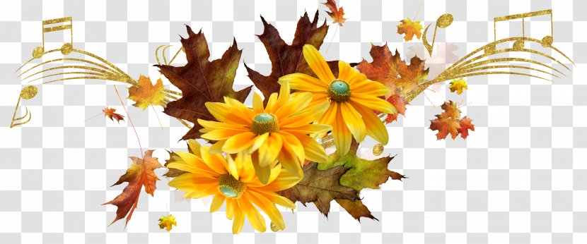 Chrysanthemum Yellow Painter - Flora - Autumn Transparent PNG