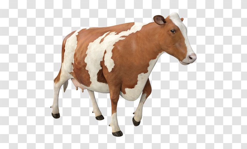 Bovine Animal Figure Dairy Cow Livestock Brown Transparent PNG