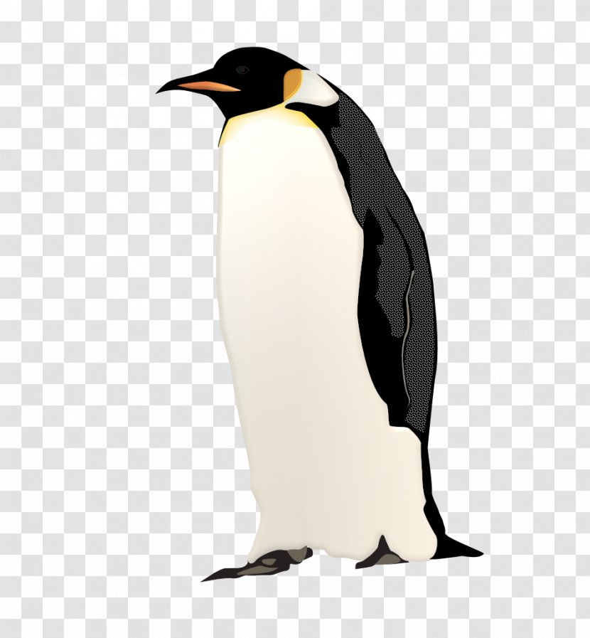 King Penguin Neck Beak - Bird Transparent PNG