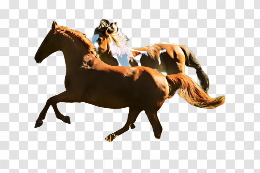 Horse Mustang Stallion Animal Sports Figure - Mare - Rein Sorrel Transparent PNG