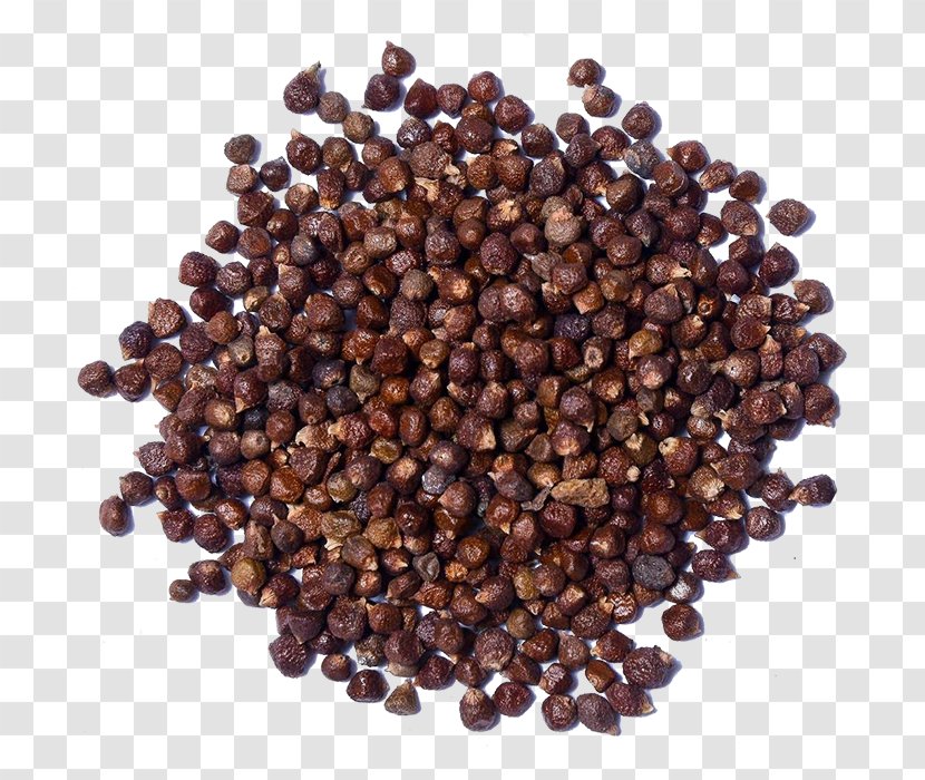 Aframomum Melegueta Cubeb Piper Guineense Black Pepper Spice - Bean Transparent PNG