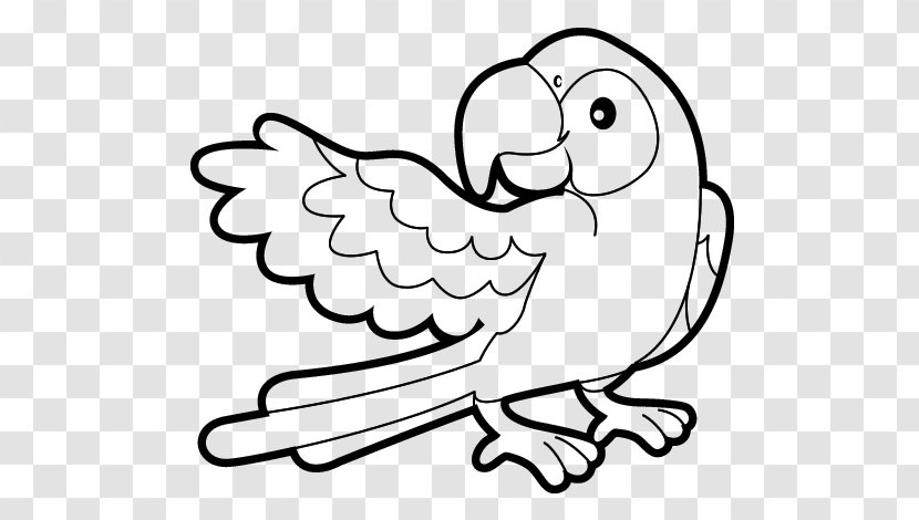 Coloring Book Drawing True Parrot Child - Flower - Silhouette Transparent PNG