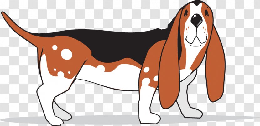 Basset Hound American Foxhound English Harrier Finnish - Book Transparent PNG