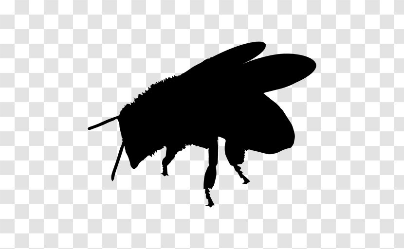 Bee Fly Insect Pollinator Vexel - Cartoon Transparent PNG