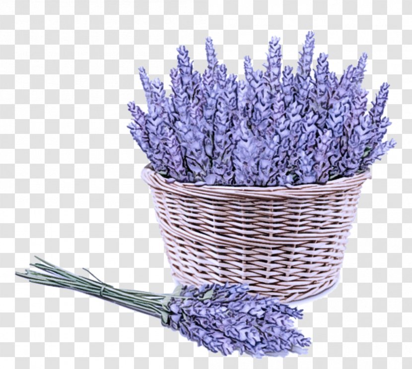 Lavender - Cut Flowers - Flowering Plant Grape Hyacinth Transparent PNG