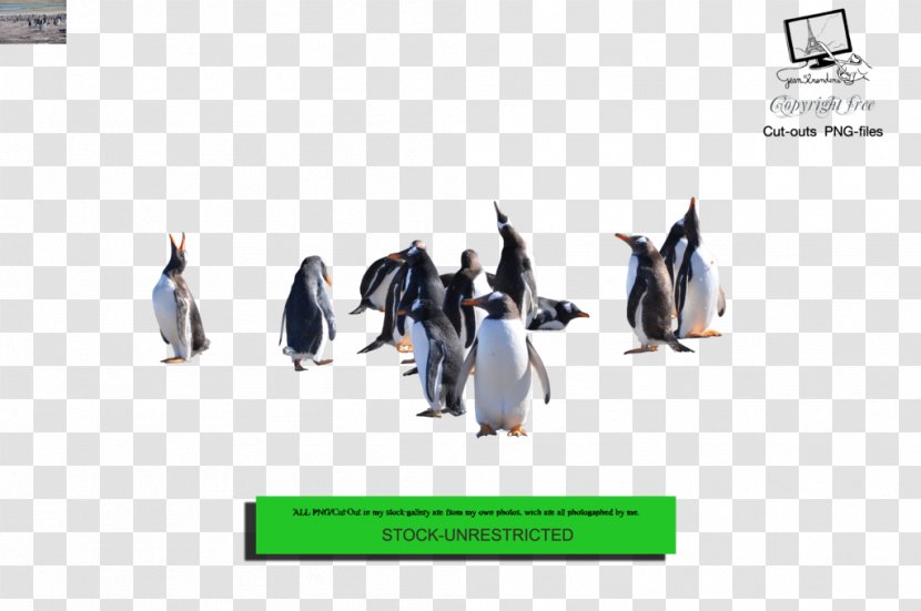 Penguin Download - Deviantart Transparent PNG