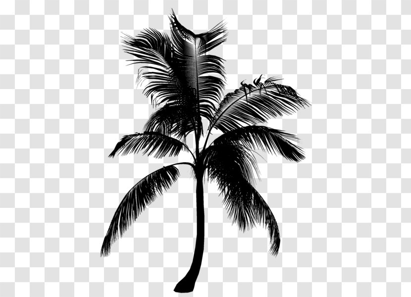 Palm Trees Black & White - Blackandwhite - M Silhouette Transparent PNG
