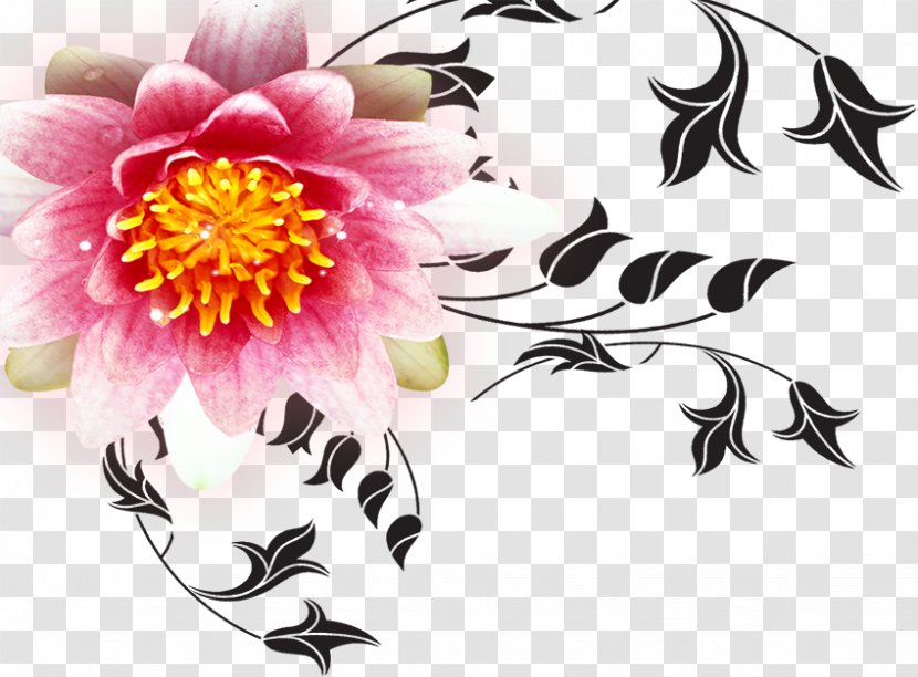 Poster Red Flower - Peony Transparent PNG