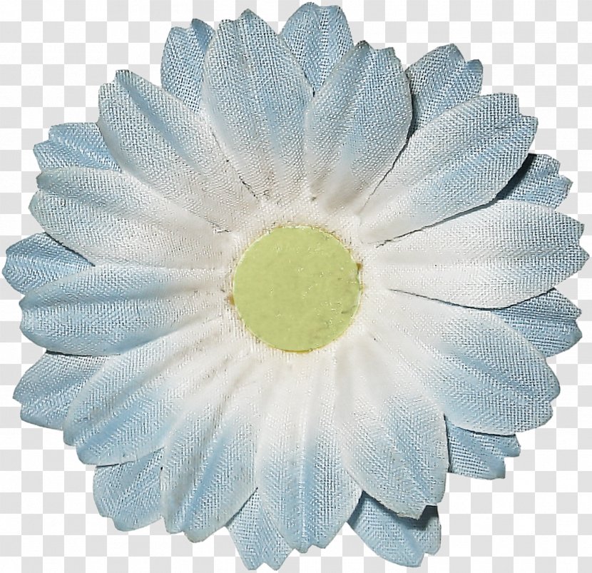 Transvaal Daisy Cut Flowers Petal - Flower Transparent PNG