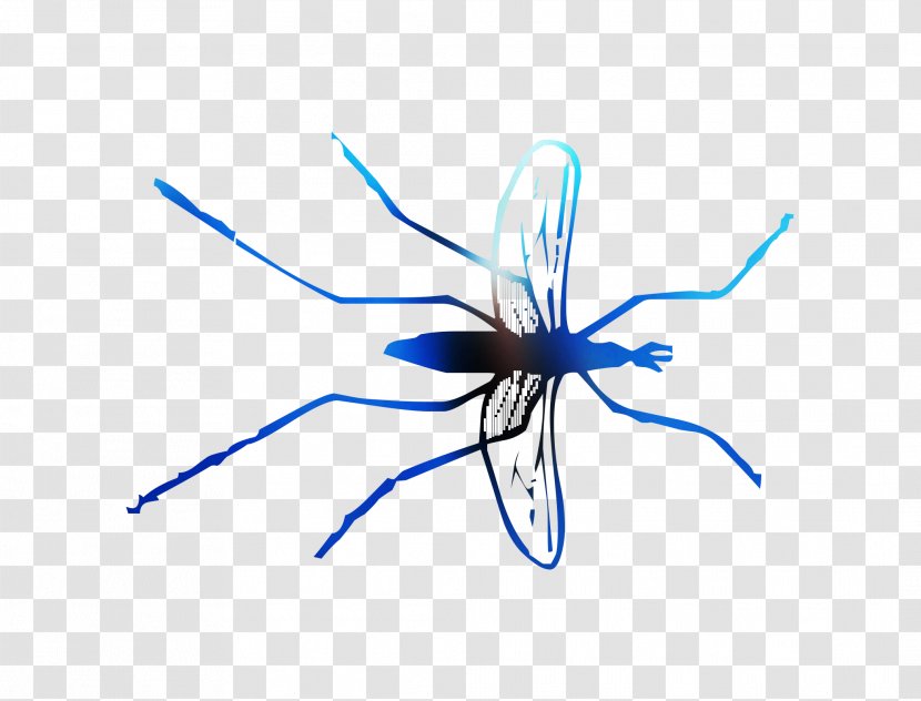Mosquito Insect Line Membrane - Electric Blue Transparent PNG