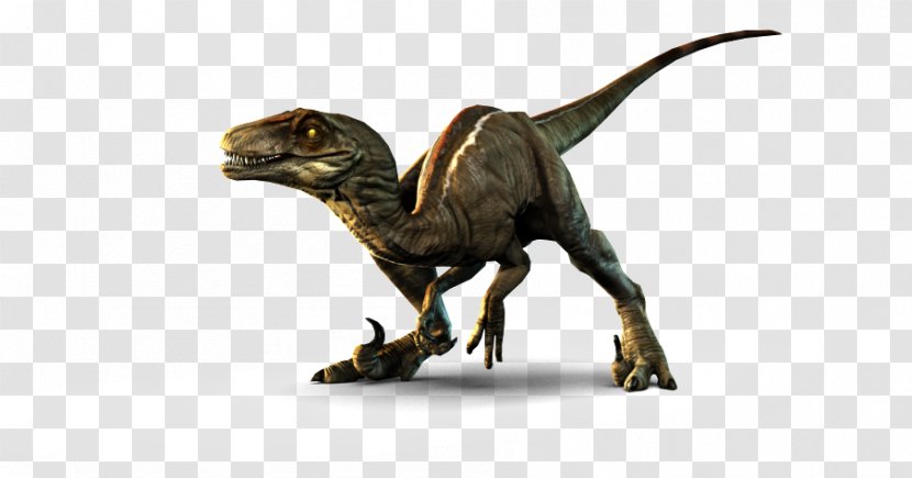 Velociraptor Primal Carnage: Extinction Dilophosaurus Utahraptor - Dinosaur Transparent PNG