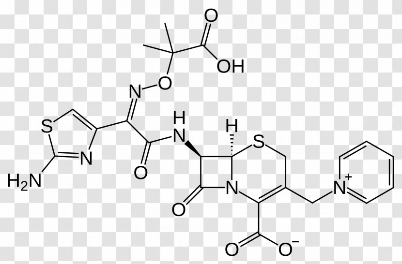 Ceftazidime/avibactam Cephalosporin Pharmaceutical Drug - Frame - 春 Transparent PNG