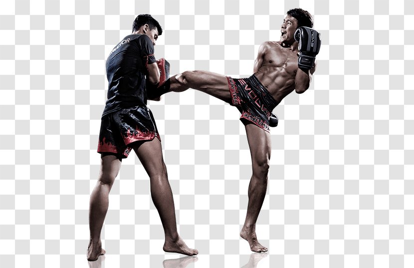 Kickboxing Muay Thai Combat Sport - Boxing Equipment - Mixed Martial Artist Transparent PNG