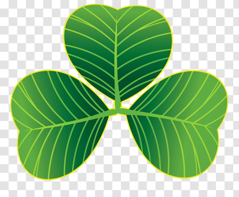 Saint Patrick's Day St. Shamrocks Clip Art Vector Graphics Image - Green - Patricks Animated Gifs Transparent PNG