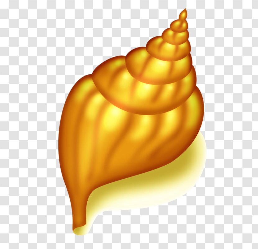 Seashell Conch Clip Art - Golden Transparent PNG
