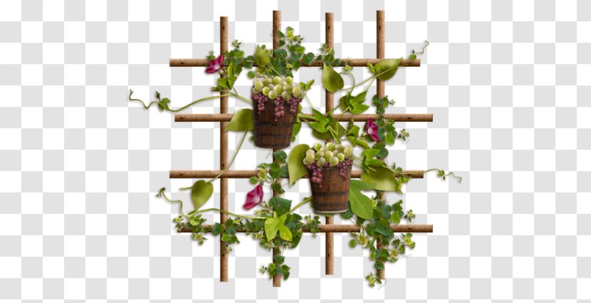 Centerblog Grape Floral Design - Cut Flowers - Blog Transparent PNG