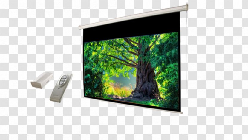 Painting Wall Room Television Canvas - Rectangle Transparent PNG
