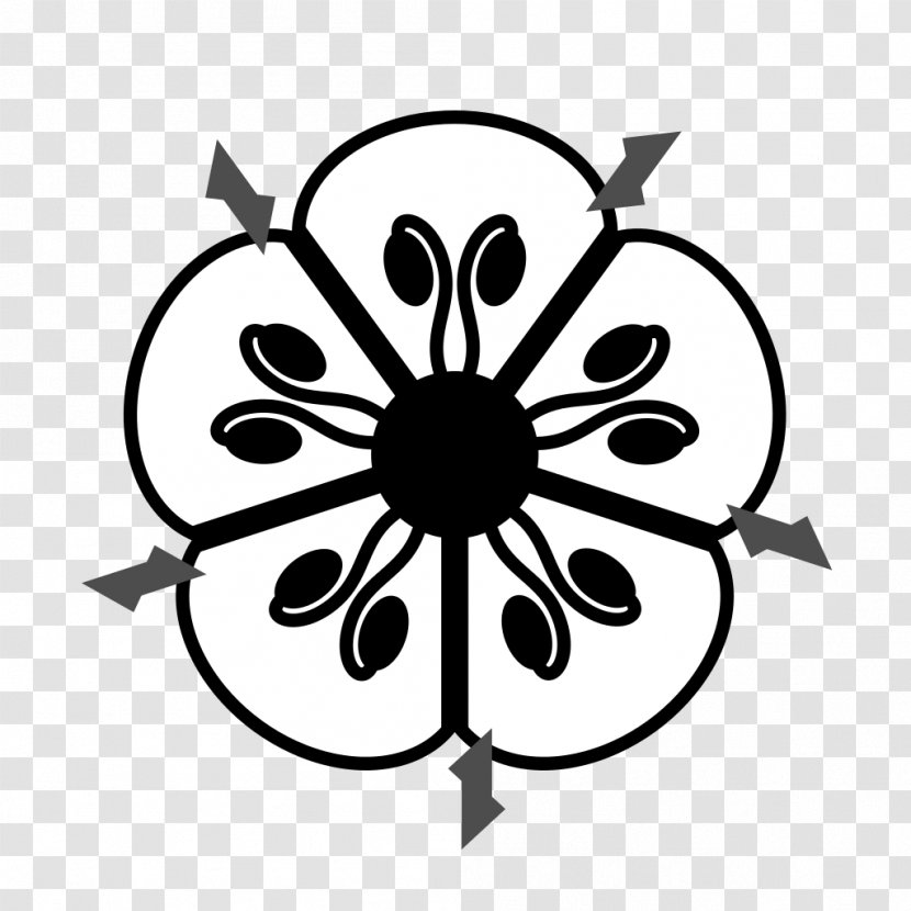 Floral Diagram Flower Sepal - Black And White Transparent PNG