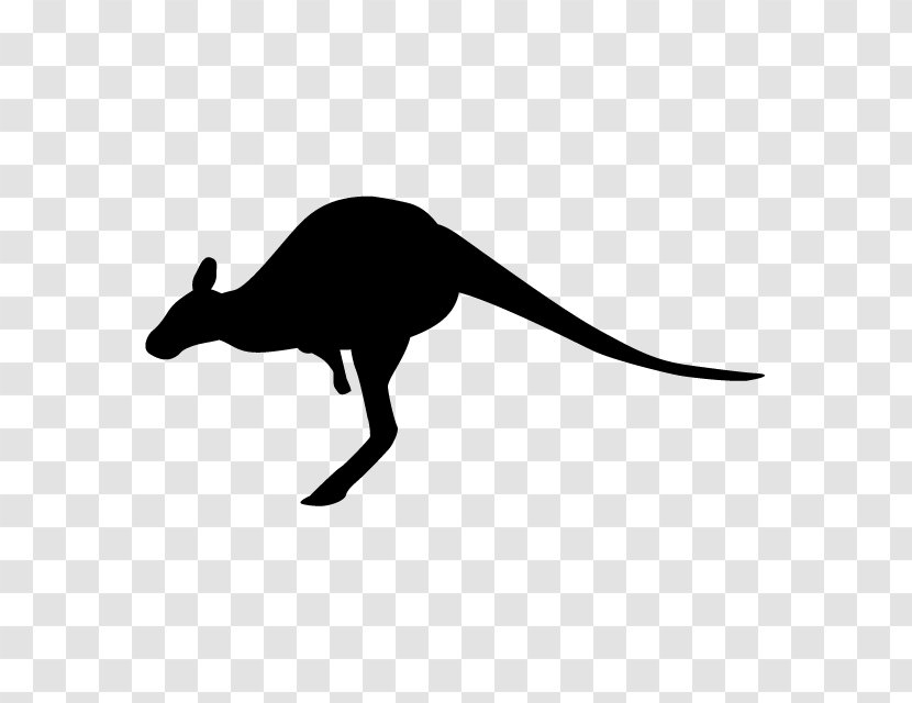 Macropodidae Silhouette Marsupial Clip Art Transparent PNG