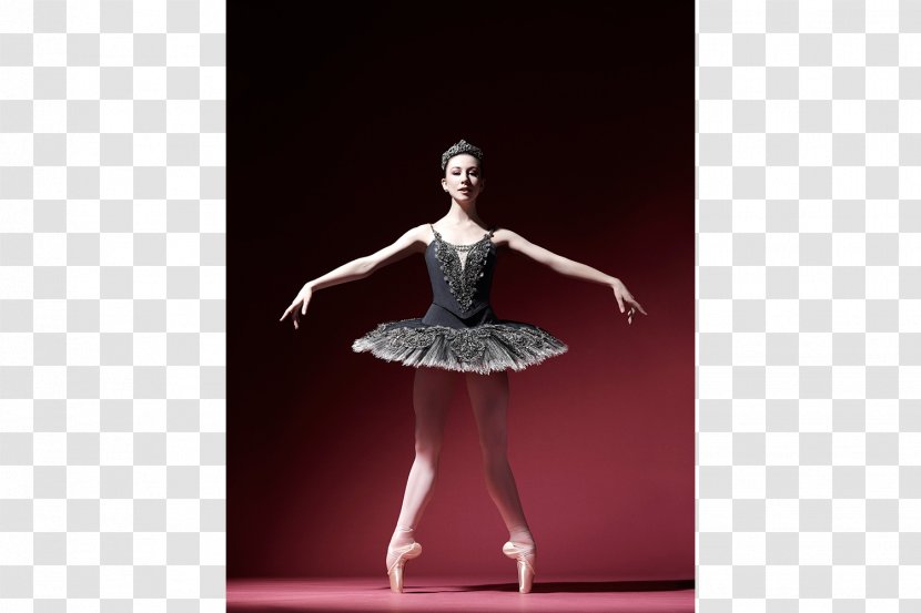 American Ballet Theatre School Tutu Dancer - Tree - Ballerina Transparent PNG
