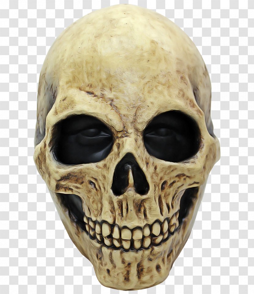 Skull Bone Face Head Skeleton - Anthropology - Mask Transparent PNG