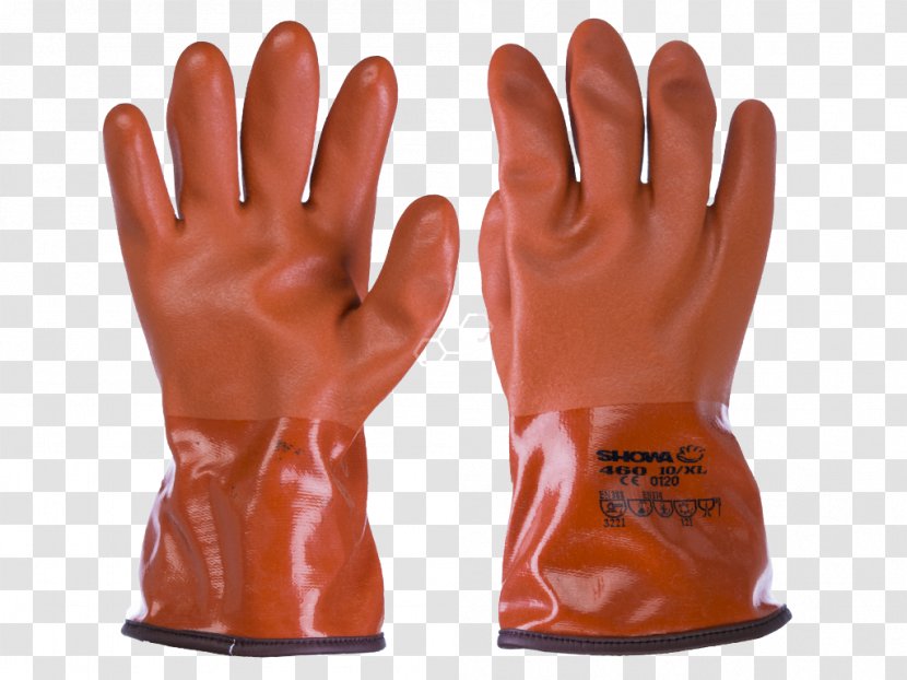 Finger Hand Model Glove - Safety Transparent PNG
