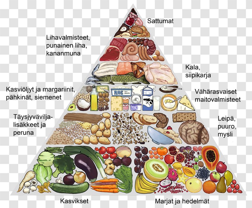 Food Group Theseus PDF - Vegetable Dish - Human Transparent PNG