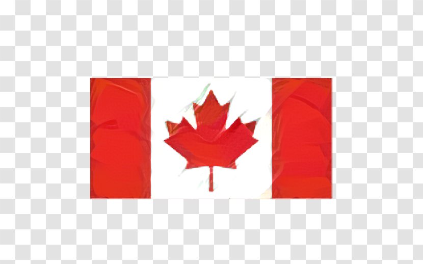 Flag Of Canada National Maple Leaf - Plant Transparent PNG