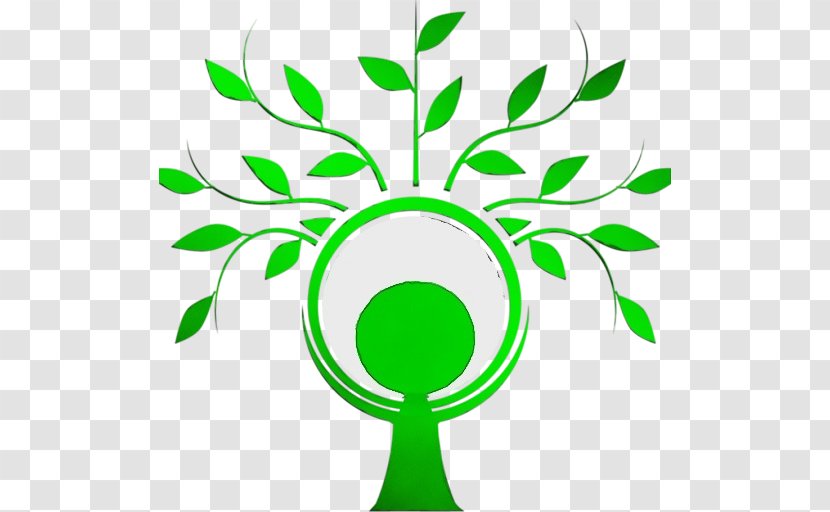 Green Leaf Clip Art Plant Tree - Line Stem Transparent PNG