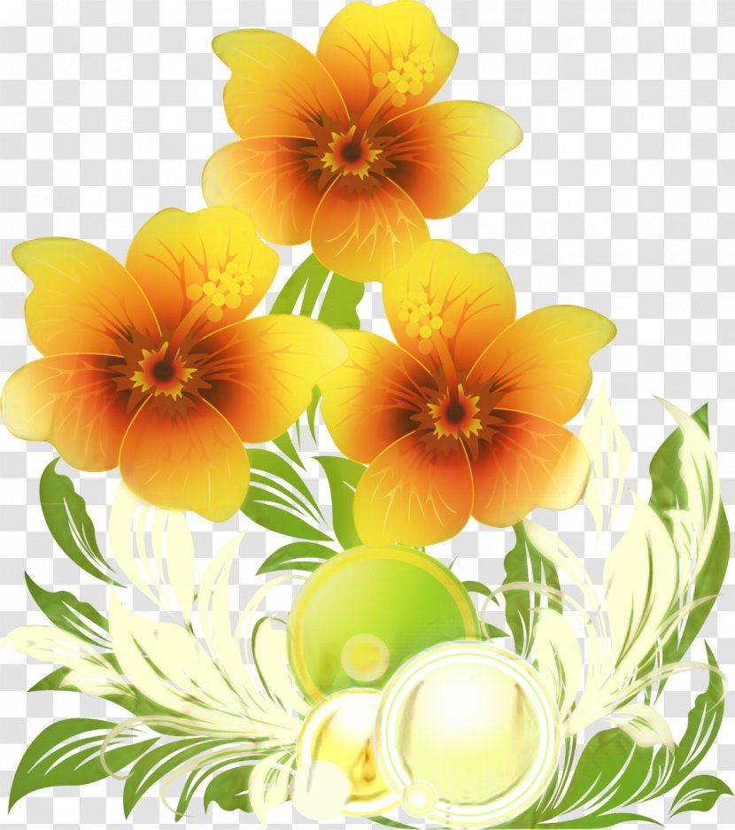 Floral Design Pansy Cut Flowers Petal - Orange - Violet Family Transparent PNG