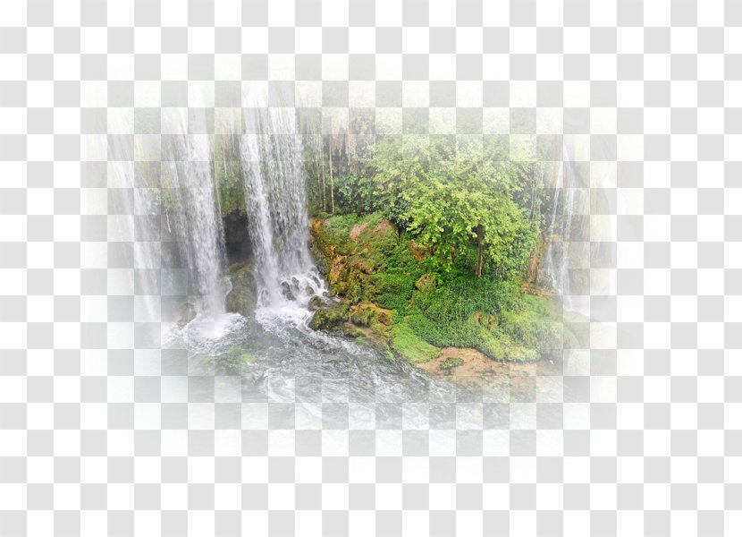 Water Resources Feature Tree Transparent PNG