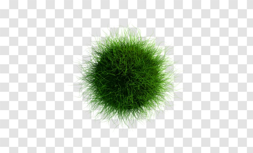Green RGB Color Model Desktop Wallpaper - Grass Transparent PNG
